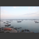 汕尾魚港