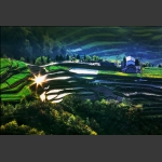 日照小景2