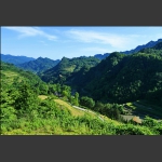 龙凤春色