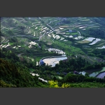 龙凤梯田