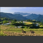龙凤梯田