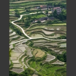 龙凤梯田