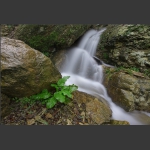 潺潺溪水石上流3