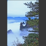 天子山风光-1
