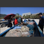 沙滩魚市