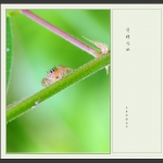 凭栏远眺