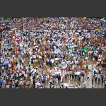 芦苼庆贺新米节