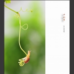 小蜗牛
