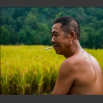 田间小憩