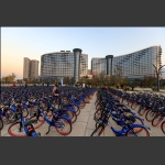 共享单车入住张家界