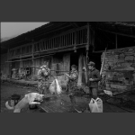杀猪记-7