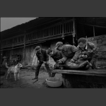 杀猪记-3