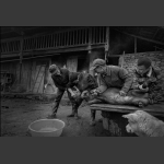 杀猪记-2