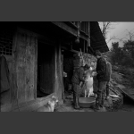 杀猪记-6