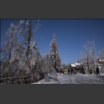 天子山雪韵