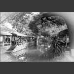 16.水墨江南—同里古镇