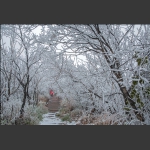 冰雪星德山