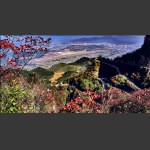 崇山红叶