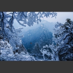仙界瑞雪
