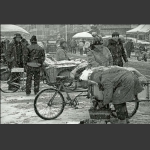 雪中菜市场