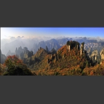 天子山染秋