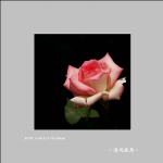 独放_3767