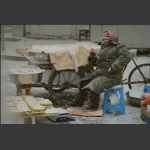 风雪严寒盼客来