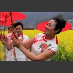 花海献美女