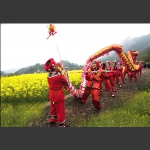 龙闹春