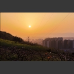 夕阳下的电网
