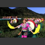 开茶节盛典花絮