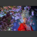 樱花女郎
