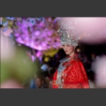 樱花里的小阿妹
