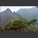 神鹰山【五】