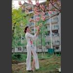 吉大樱花节2