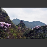 神鹰山【一】