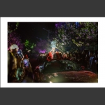 最耀眼的樱花仙子