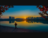 澧岸春晓