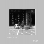 多仑路_3026