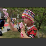吉大(张家界学院)樱花节
