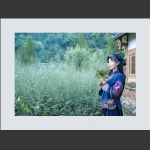 花季