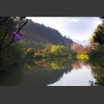 门前小景