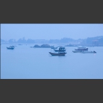 宁静的海湾