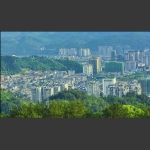 城市之春