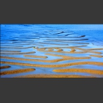 悠悠沧海情