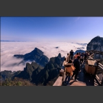 云端上行走的游客们