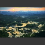 家园