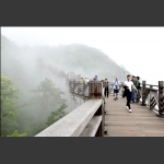 雾漫栈道-2