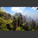天子山春色