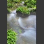 雨后